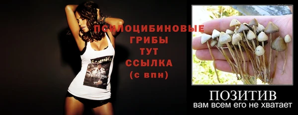 трава Куйбышев