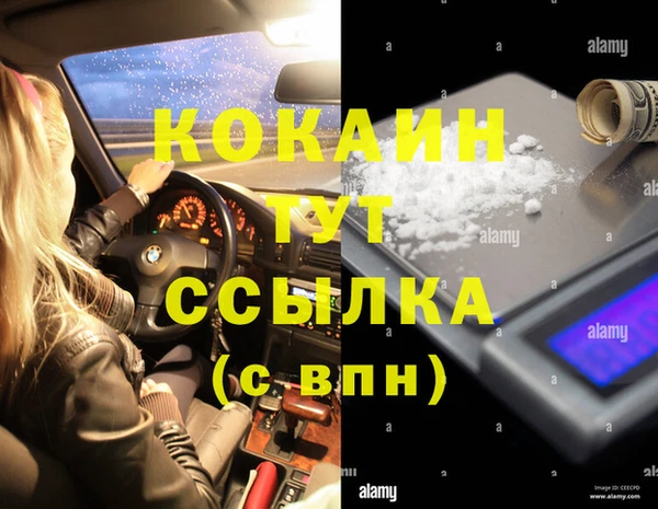 спиды Кукмор
