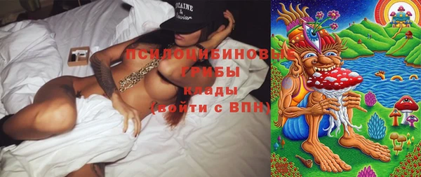 спиды Кукмор