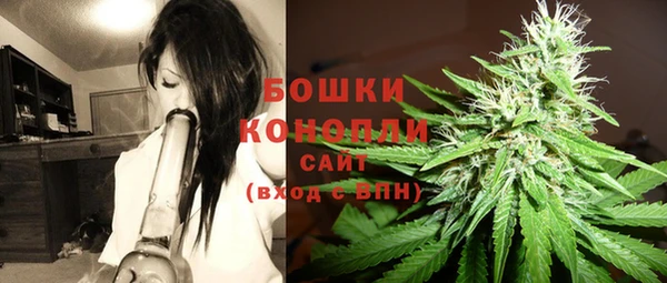 спиды Кукмор